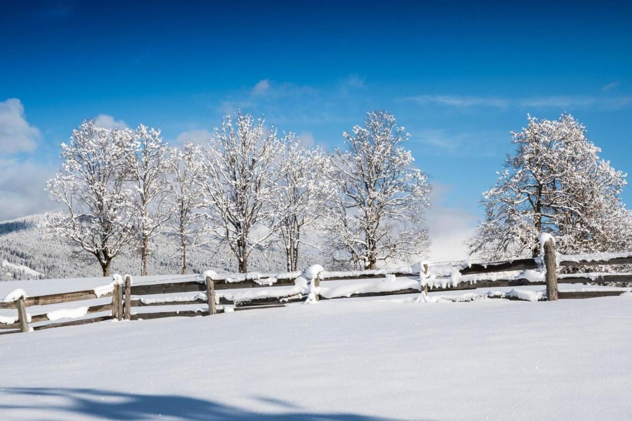 Hotel Alpenwelt Superior Флахау Экстерьер фото